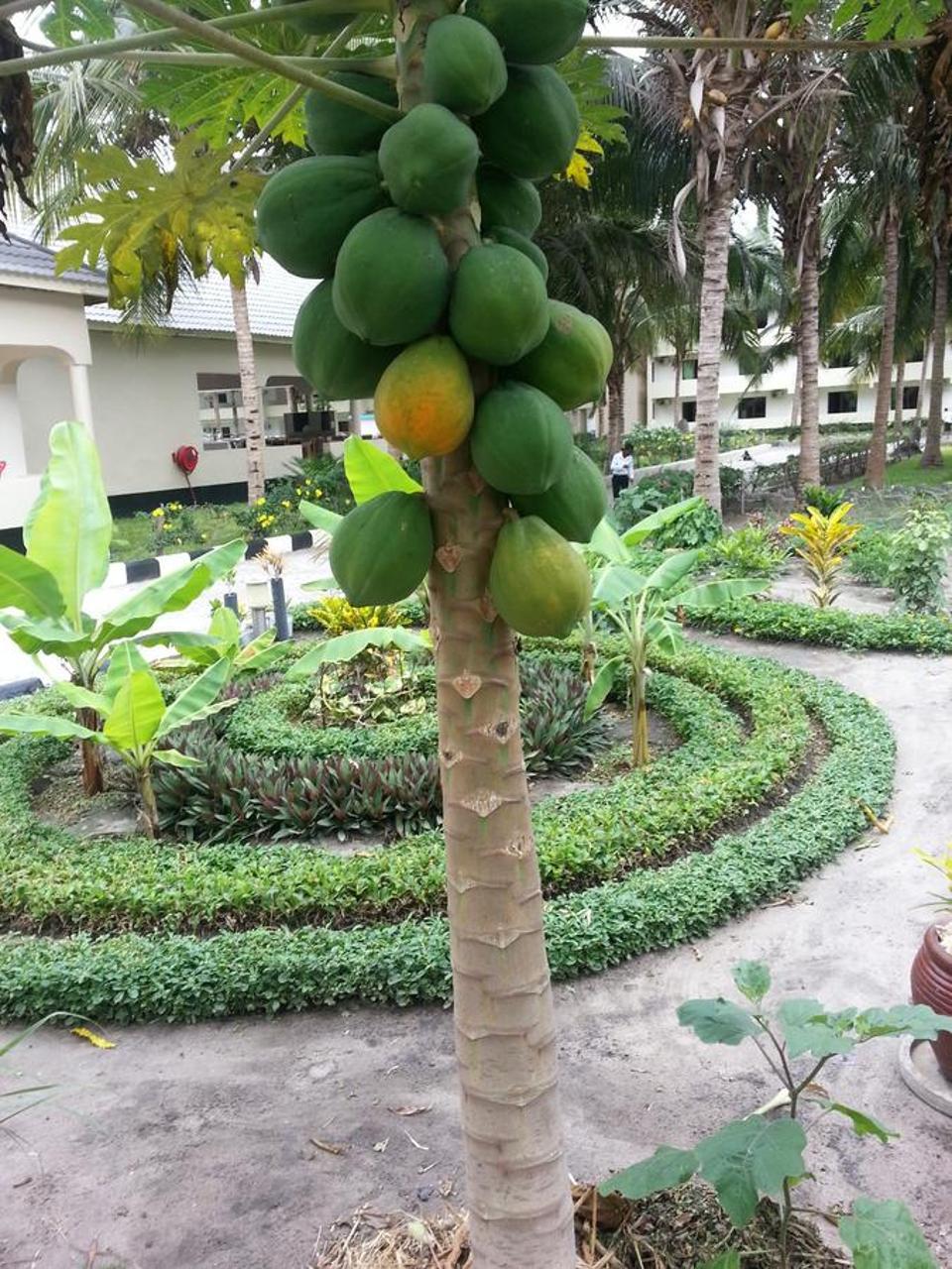 Oceanic Bay Hotel & Resort Bagamoyo Esterno foto