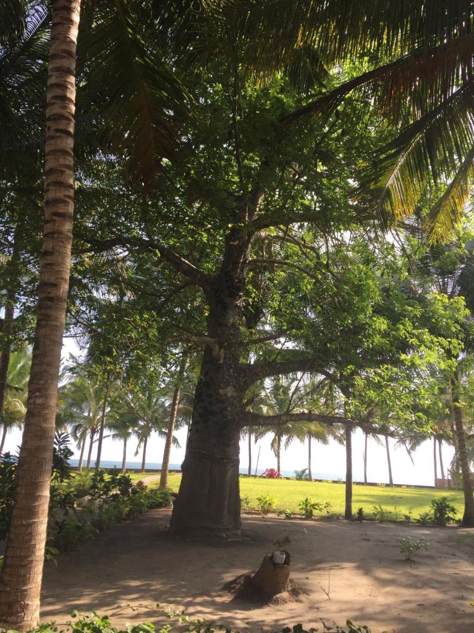 Oceanic Bay Hotel & Resort Bagamoyo Esterno foto